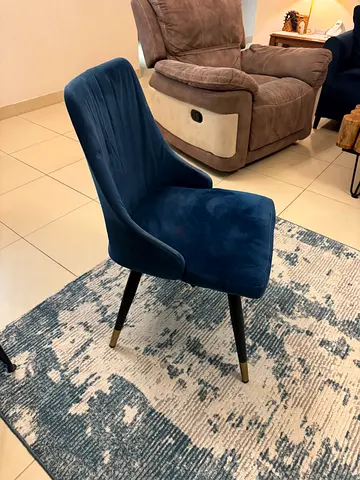 6 Dining Chairs