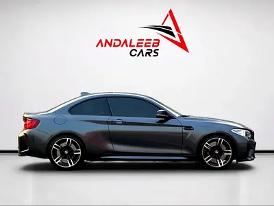 2017 BMW M2 — фото 9