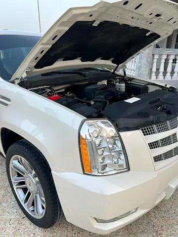 2013 Cadillac ESCALADE 照片 5