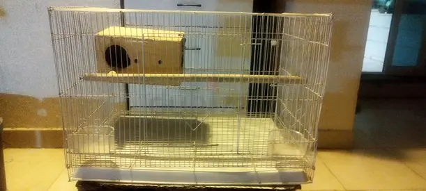 Birds breading cage.