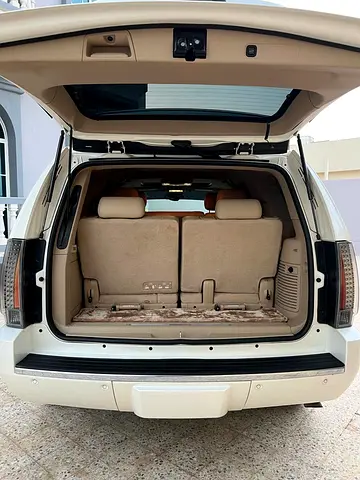 2013 Cadillac ESCALADE 缩略图 12