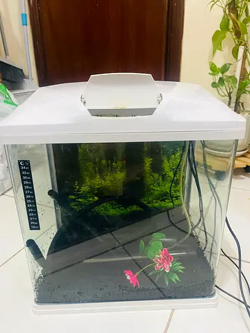 Used aquarium filter and heater set with tubing and sponge - working all
