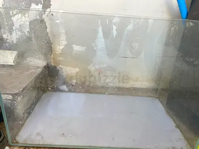Aquarium