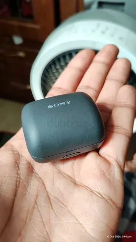 Sony LinkBuds