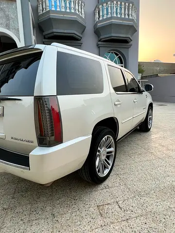 2013 Cadillac ESCALADE 照片 9