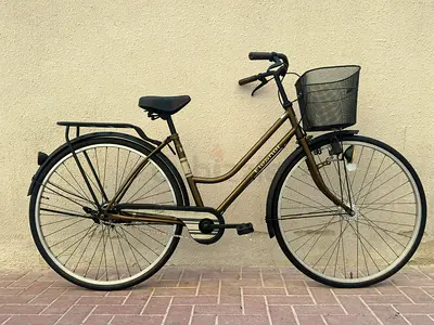 Large High Quality Japanese imported Cruiser Bike Neat and clean in perfect condition like new