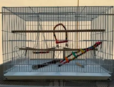 Large Bird Cage with Perches and Toys - 60x40x40