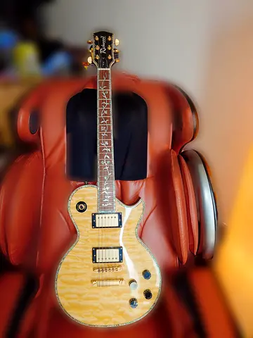 Richwood Artist Series Les Paul style art guitar, (Korean made and totally playable)