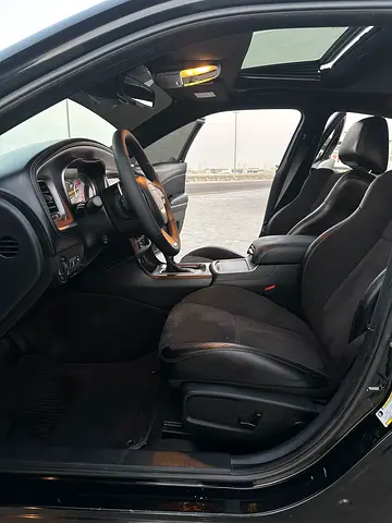 2019 Dodge CHARGER 缩略图 17