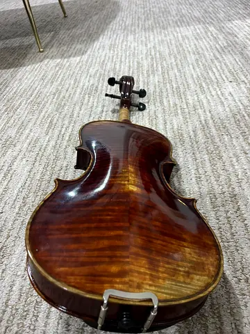 Professional violin
