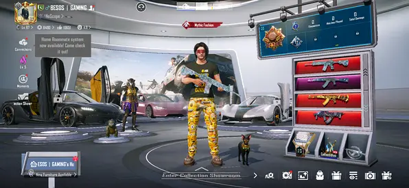 Pubg Old Account