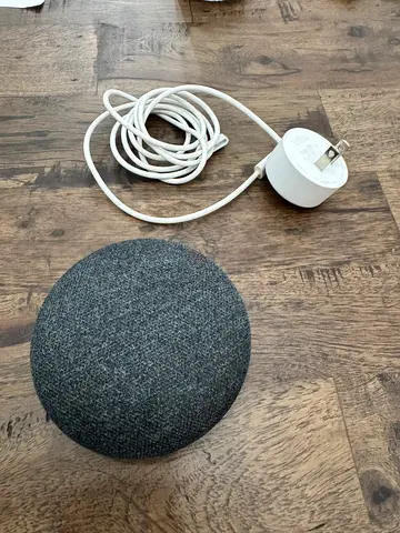 Google home mini 1st gen