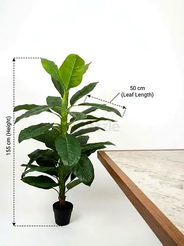 Artificial Large Tropical Fiddle Leaf Plant - 155cm, leaf lenght 50