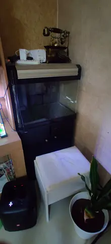 Aquarium tank fish tank
