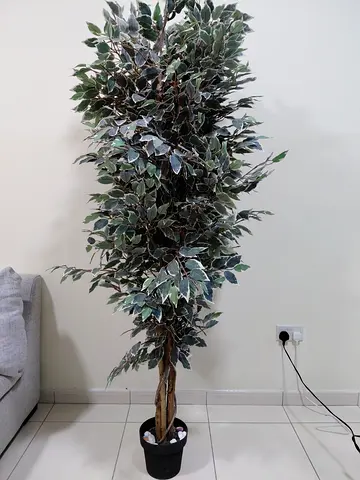 Tall 5ft artificial tree for sale..clearance price