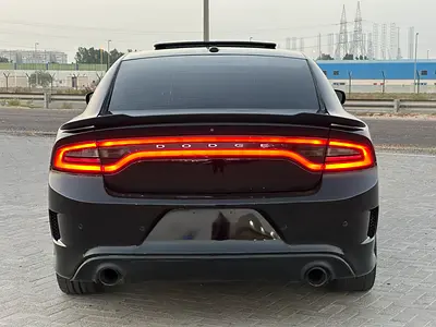 2019 Dodge CHARGER 缩略图 16