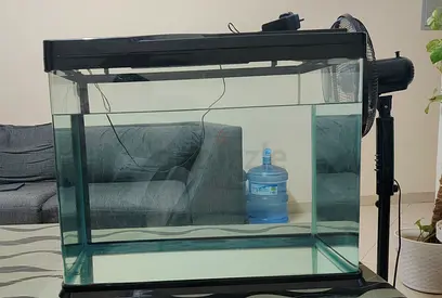 Glass Aquarium Tank with Hood and Stand - Good Condition