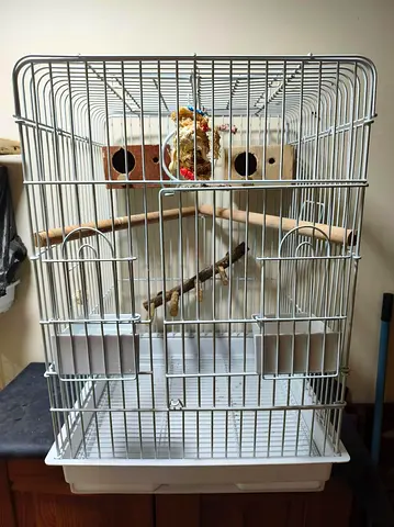 Big bird cage