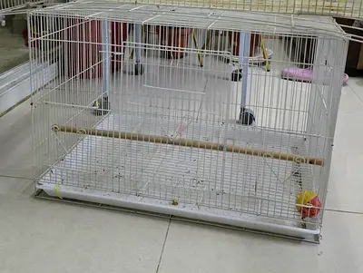 Medium size bird cage