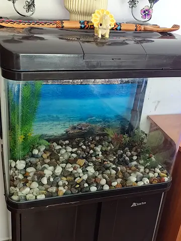 Used Aquarium for sale