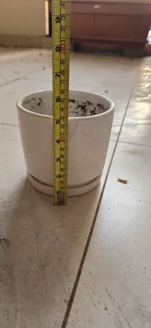Modern White Ceramic Plant Pot with Saucer