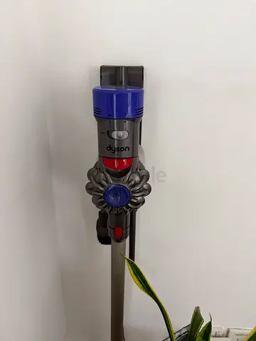 Dyson V8 animal