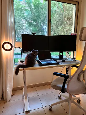 2 benq monitors with laptop setup — ergonomic home workstation