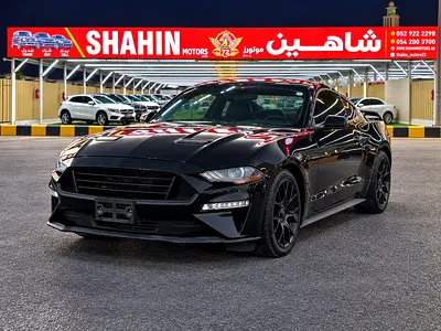 2019 FORD MUSTANG 照片 2
