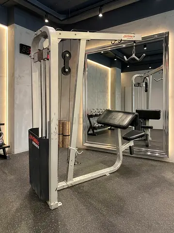 Life fitness bicpe machine