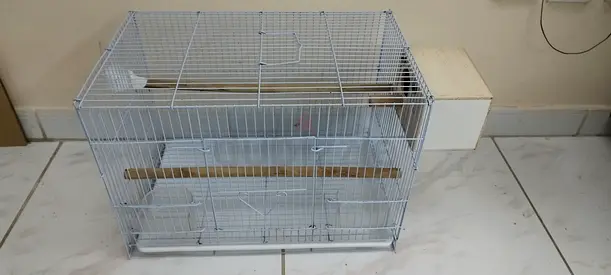 Birds breading Cage