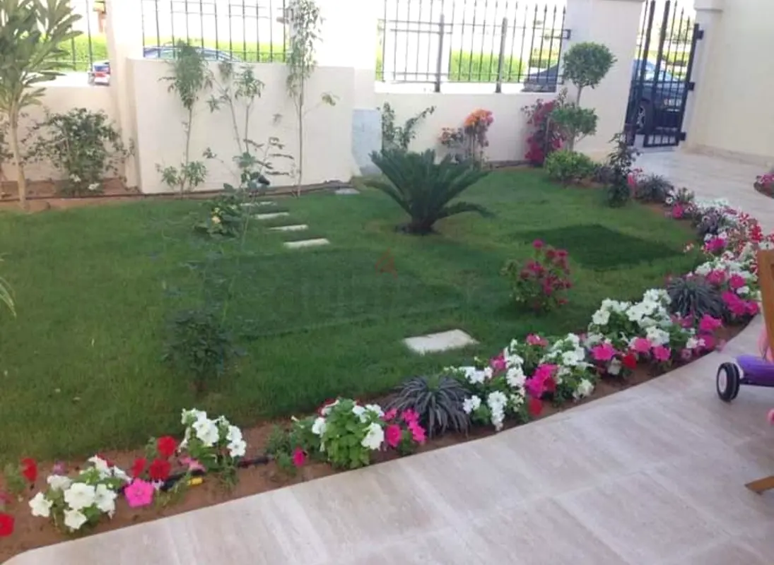 DPV_View_Image_3