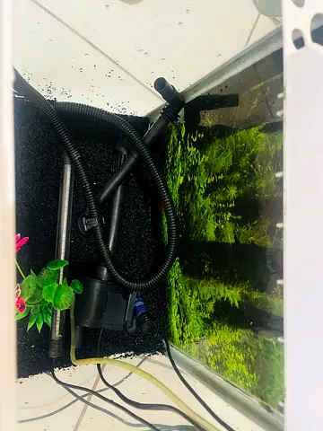 Used aquarium filter and heater set with tubing and sponge - working all
