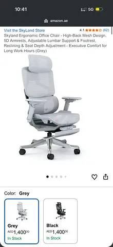 Ergonomic Office Chair | Barely Used | Skyland