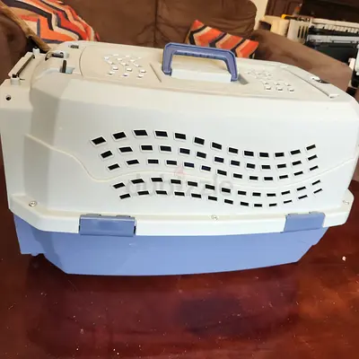 Cats carriers for air travel
