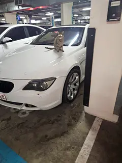 2007 BMW 6 Series