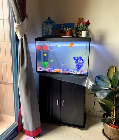Aquarium Fish Tank - Glass - 63L with cabinet