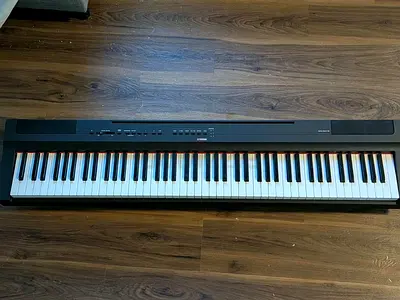 Portable 88-Key Digital Piano / Keyboard in Good Condition