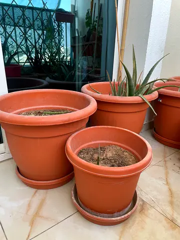 Set of 3 Plant Pots with Saucers — Good Condition
