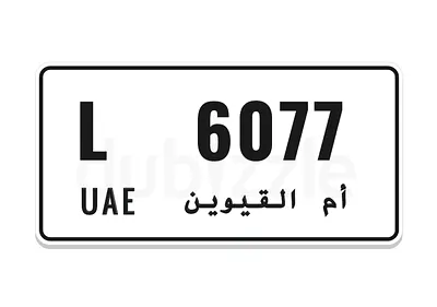 6077