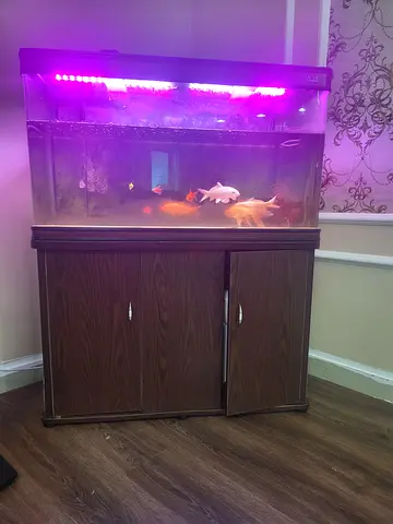 Fish aquarium with wooden stand and filter