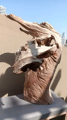 Large Decorative Driftwood Sculpture / Natural Wood Art Piece