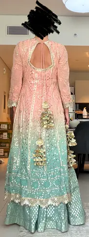 Light Pink to Mint Green Embroidered Formal Lehenga dress