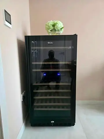Terim 66 bottles Capacity Dual Temp Wine Cooler