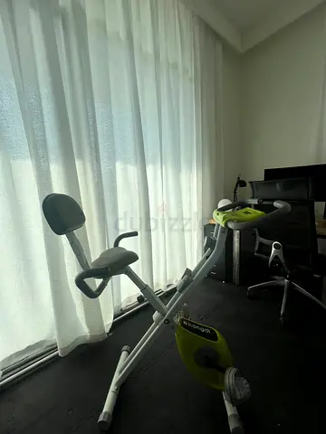 Compact Foldable Exercise Bike with Backrest - Light Use