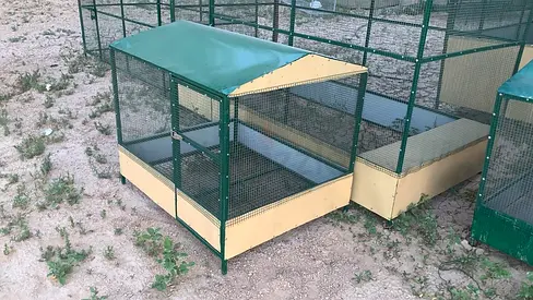 Pegion cage