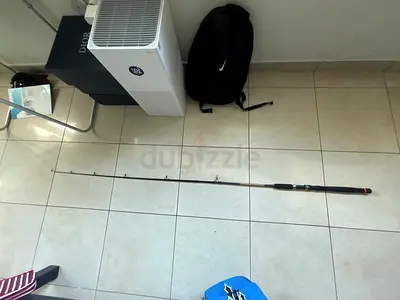 jigging fishing rod 2pice