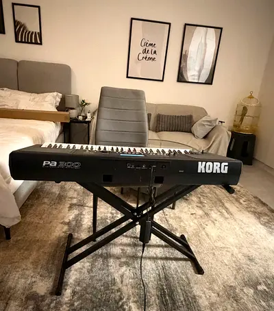 Korg PA300 arranger keyboard - NEW