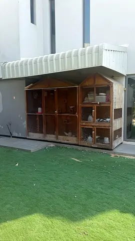Huge size Birds cage