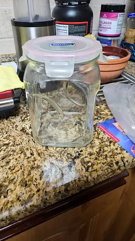 Glass storage jar with airtight plastic lid - 1.5L