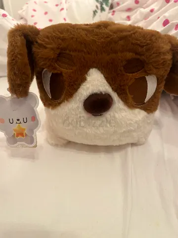 Cute dog teddy bear